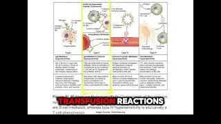 Immune Hypersensitivity Reactions 