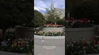 LDS Temple News wants you to Step into the sacred beauty of Mount Timpanogos Utah Temple