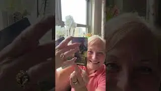 ТАРО прогноз. ТЕЛЕЦ. 26 Мая - 1 Июня 2025. TAROT forecast - Taurus. 26 May - 1 June 2025.
