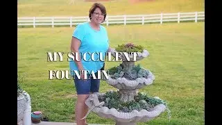 Fountain Planter: Planting Succulents in my Fountain