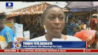 News@10: FG To Meet FGN Bond Investors In London Next Week 01/06/16 Pt.3