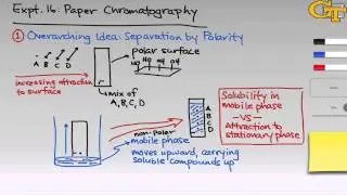 Paper Chromatography | Intro & Theory