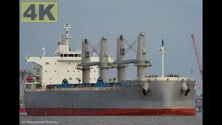 OSHIMA JAPAN - Shipspotting Germany 🇩🇪 IMO 9872975 - River Weser near City Brake Unterweser - 4K