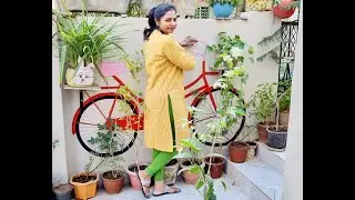 Cycle Mural Art for Garden || DIY Outdoor Garden Decoration Ideas || Wall Painting Design Idea ||
