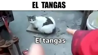 MEMES RANDOM #709