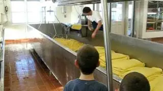 Union Star Cheese