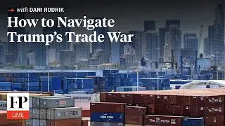 How to Navigate Trump&rsquo;s Trade War