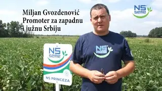 Miljan Gvozdenović na ogledu NS SEME soje u Medveđi (u organizaciji PSSS Jagodina)