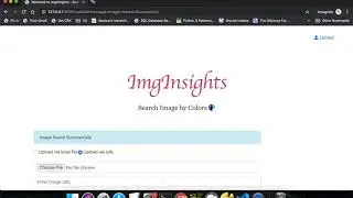 ImageInsights - Image Search Engine in OpenCV and Python