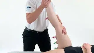 Myofascial Cupping - sciatic nerve
