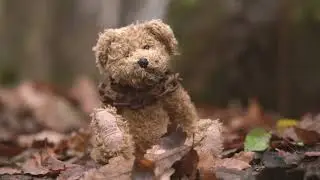 Sache vet Clinic  Christmas advert