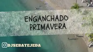 🍻MIX CACHENGUE &bull; ENGANCHADO #PRIMAVERA 2021 🎉 LO NUEVO x DJ SEBA
