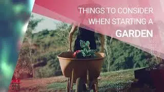 How to Start a Garden