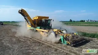 PLOEGER AR-4BX | THE BIGGEST FARM MACHINERY IN ITALY !!