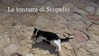 La tonnara di Scopello (Castellammare del Golfo - Trapani)