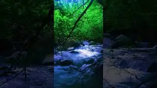 Wild River Feel the Strength of Nature  #asmr #nature #naturesounds #wildlife