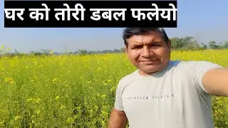 बजार को भन्दा घर को बिउँ डबल फलेयो । 