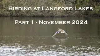 A year at Langford Lakes - a new Bird photography project