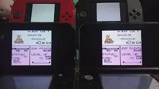 ISHC 2019 #8 Shiny Shuckie the Shuckle 3,750 Srs!