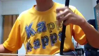 Voez Erhu Cover-Kokoro