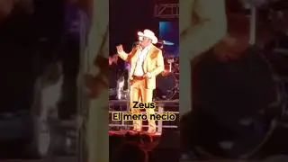 Zeus el mero necio