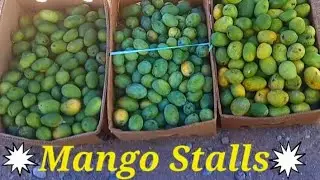 Mango Stalls on the Roads of Musannah Oman