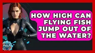 How High Can Flying Fish Jump Out Of The Water? - The Marine Life Explorer