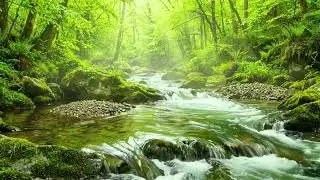 Peaceful Stream Flowing Through Mountains, Forest Birds Singing, Sounds for Relaxation and Sleep