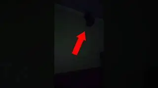 Призрак попал в кадр видео когда хозяин спал