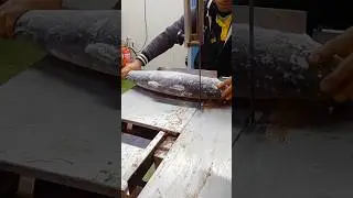 Tips for Cutting Frozen Salmon#knowledge&nbsp;#learnontiktok&nbsp;#explore&nbsp;#world&nbsp;#fypusa🇺🇸
