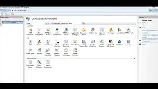 "Step-by-Step Guide: Installing IIS Server on Local, Production, and UAT Environments