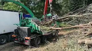 Jenz 593