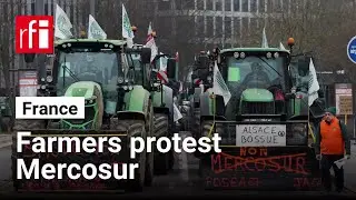 French farmers and Mercosur &bull; RFI English
