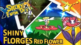 [LIVE!] FOYT Shiny Floette Red Flower via SOS + Shiny Flab&eacute;b&eacute; Red Flower via RE! (Pokemon XY+USUM)