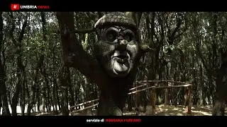 Il Bosco parlante di Città della Domenica [UMBRIA NEWS]