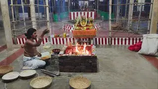 SRI KALA BHAIRAVAR ASHTAMI HOMAM  #kalabhairavar #ashtami #காலபைரவர் #shorts 