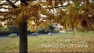 Rec Experience - Parco Ottavia