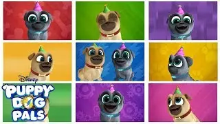 Bingo and Rolly's Birthday | Music Video | Puppy Dog Pals| Disney Junior