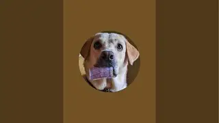 labra rubi is live
