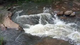 slow motion|river water flowing|peacock opening it's feathers|dam water|moving plant|looking crazy|