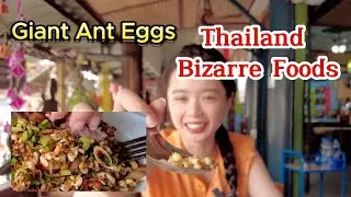 Thailand BIZARRE Food || Giant ANT EGG
