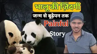 Born to Death भालू की ज़िंदगीजन्म से बूढ़ेपन तक BEAR Life 🐻 Story | Scary Story 