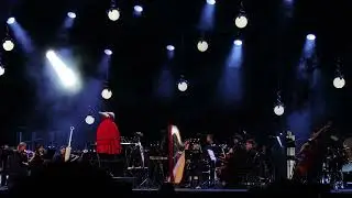 Hollow Knight Live Orchestra - Pale Court