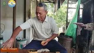 Tanah, Karya, dan Kehidupan: Gerabah Kasongan