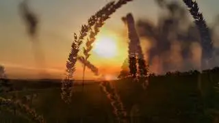 Healing Piano Music for Emotional Balance
