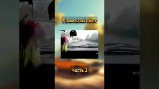 Quiz King мемы. #квизы #викторина #квизы #quiz #мем