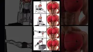 chest workout #shorts #workout #youtube