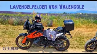 Lavendelfelder mit dem Motorrad 🇫🇷