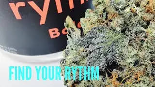 Rythm Cannabis | Premium Maryland Cannabis Brand - Short Music Video