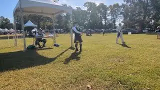 Gavin's 2025 Piobaireachd Scotland County Highland Games 
